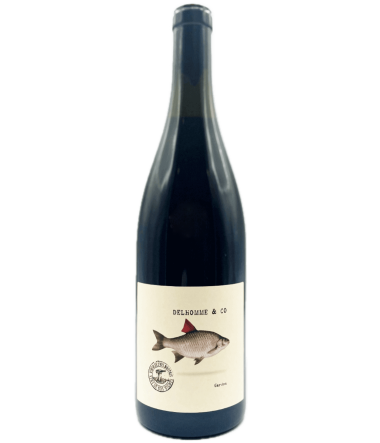 Ռուժ դը Լա Պինո Նուար Դելհոմ ընդ Կո - Գինի | TheHouse