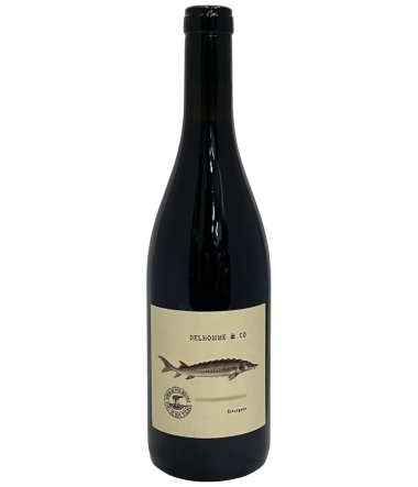 Eau de Sologne n°1 Gamay Delhomme & Co - Wine | TheHouse