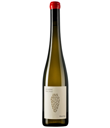 Wachau Riesling Amphora 2021 - Wine | TheHouse