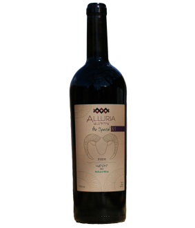 Ալլուրիա Դը Սփեյշլ N1