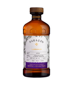 Monin Paragon Labdanum