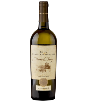 Leonardo da Vinci In Romagna Duomo Di Faenza 2023