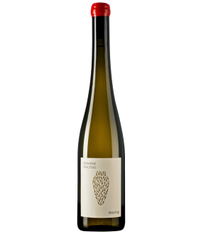 Wachau Riesling Amphora 2021